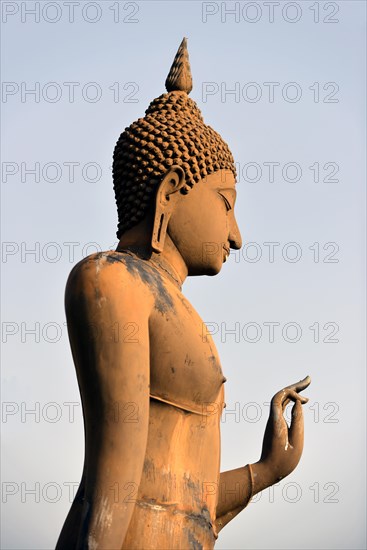 Buddha statue