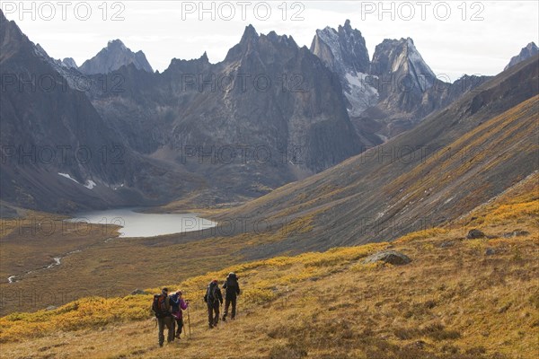People hiking in arctic or subalpine tundra