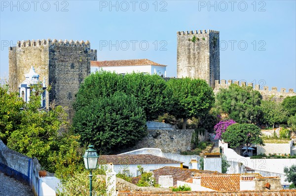 View over the historic district and the castle