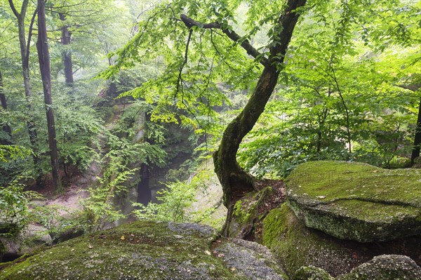 Rocky landscape