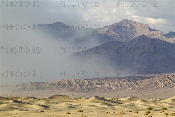 Mesquite Flat Sand Dunes