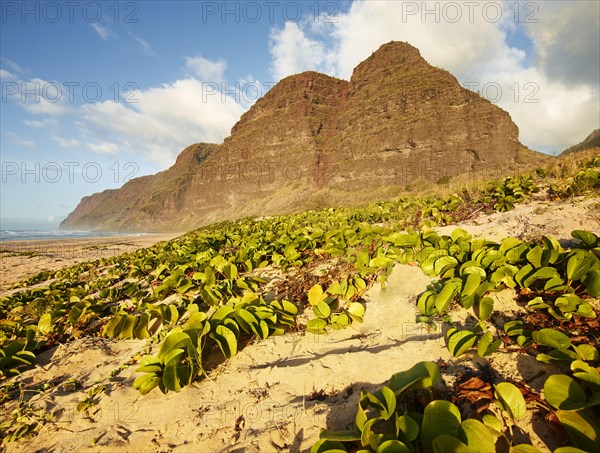 Sandy beach on the Napali Coast