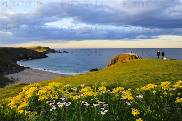 Meadow near the viewpoint overlooking the beach of Sango Bay