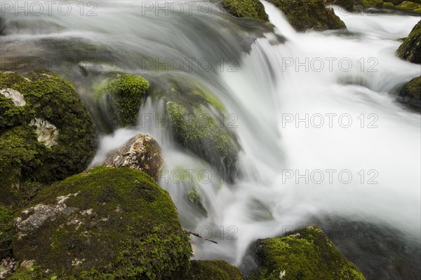 Brook with moss-covered stones