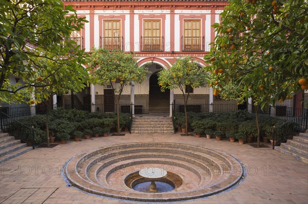 Bitter or Seville Orange trees (Citrus x aurantium) in the courtyard of the Hospital de los Venerables Sacerdotes