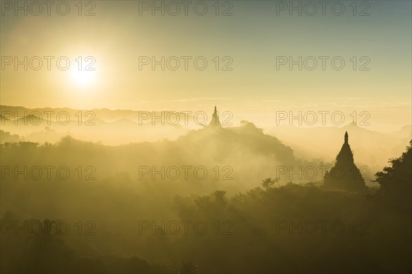 Pagodas surrounded by trees