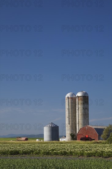 Barley and potato field with a farm building and two grain silos