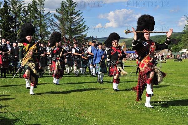 Several pipe majors leading a pipe band on the sports ground at the Highland Games