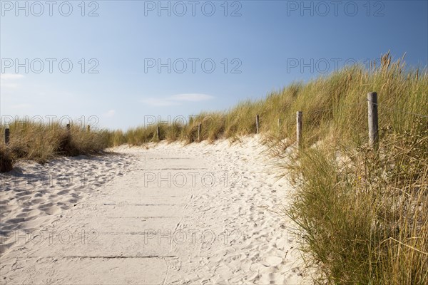 Path through the dunes leading to the beach