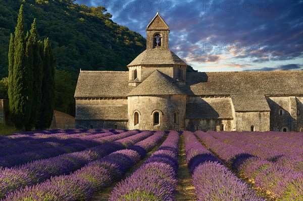 The Romanesque Cistercian Abbey of Notre Dame of Senanque