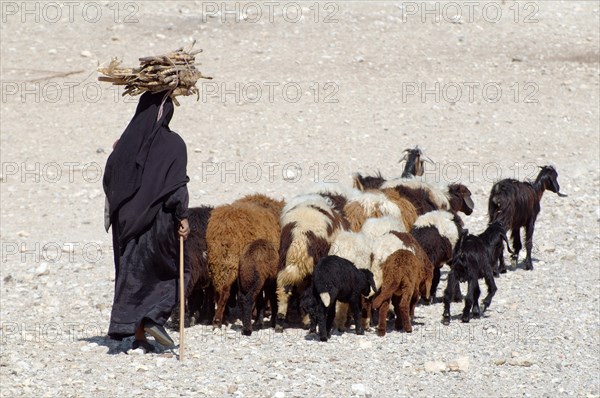 Bedouin woman with her goats