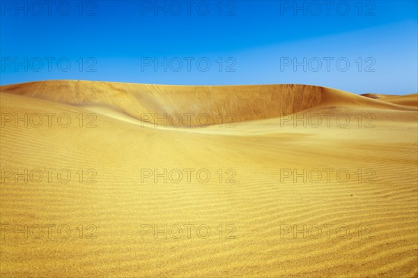 Crater in the dunes of Maspalomas