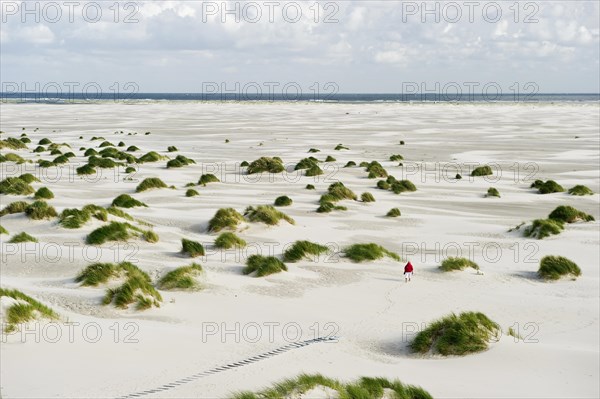 Dunes and beach