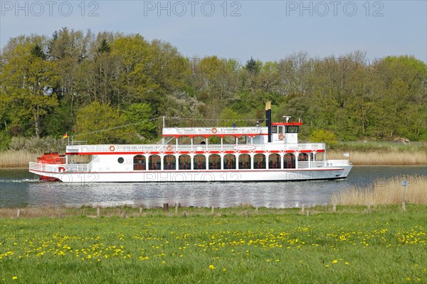 Paddle steamer 'Schlei Princess'