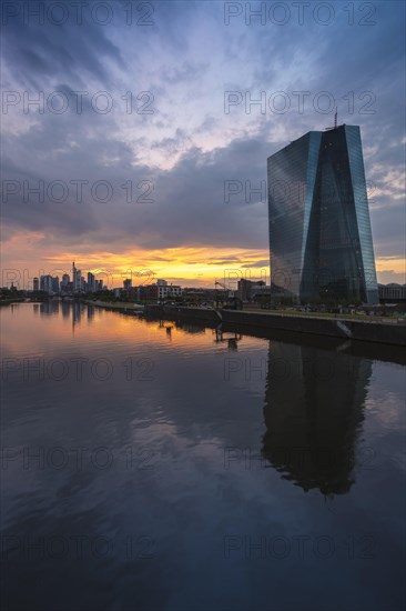 The new European Central Bank