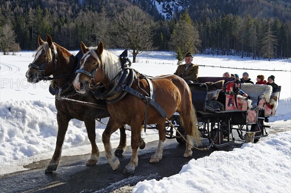 Sleigh ride from Rottach to the Weissachalm in Weissachtal Valley