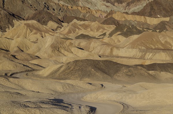 Road through the badlands of the 'Twenty Mule Team Canyon' in the morning light