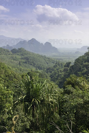 Mountain landscape