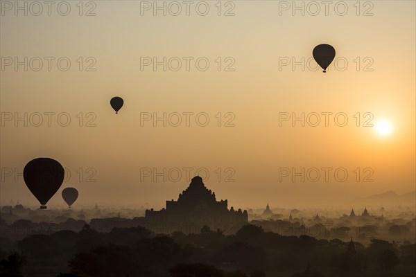 Hot air balloons over the landscape in the early morning fog
