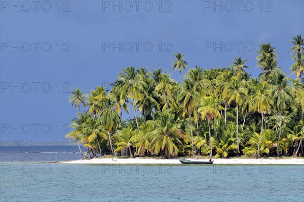 Tropical island with palm trees