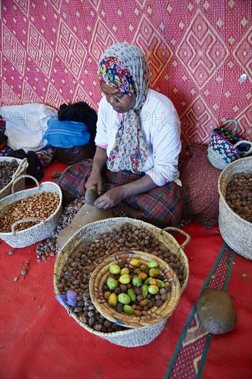 Women cracking argan nuts at the Cooperative Marjana
