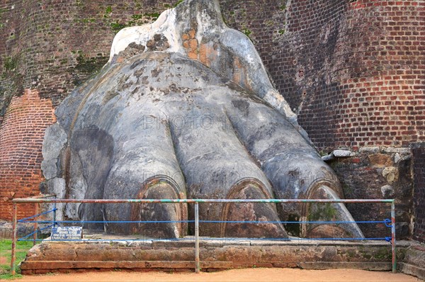 A huge stone lion's paw