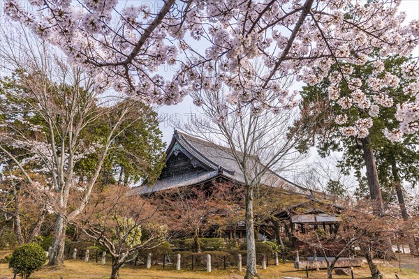 Shinsho Gokurakuji or Shinnyo-do Temple