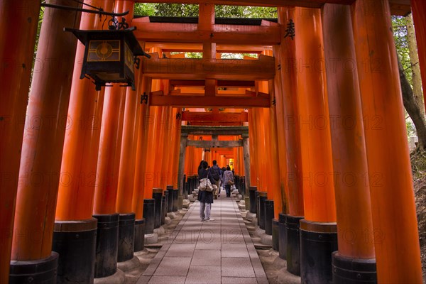 Torii or gates leading to the inner shrine