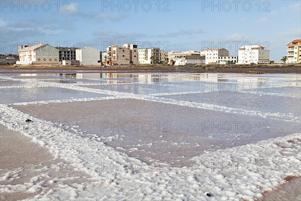 Salt basin in the disused saline