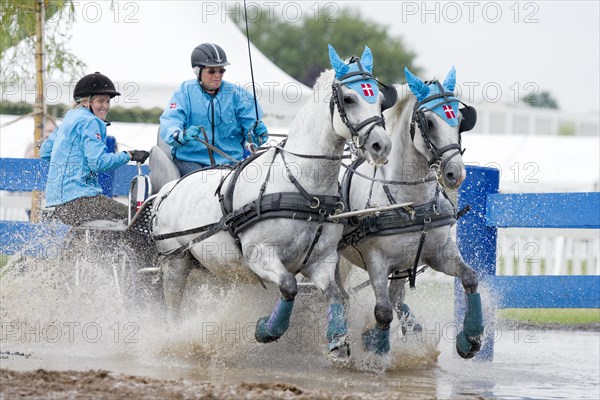 Horse-drawn carriage passing through a water ditch