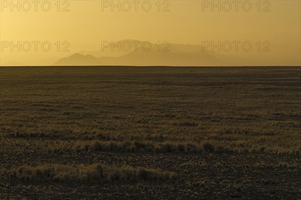 Landscape of the Namib Desert at sunrise