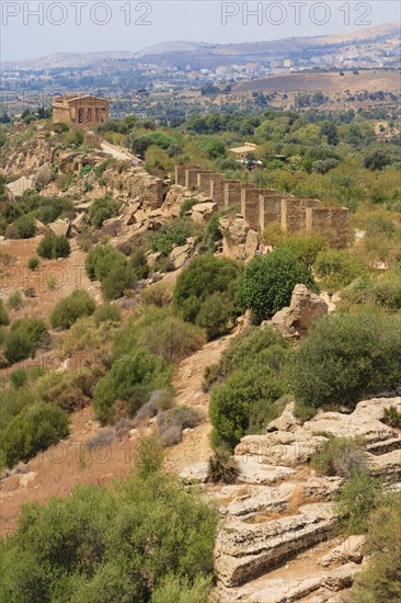 Fabrizio Plessi Monumenta' and The Temple of Concordia or Harmonia