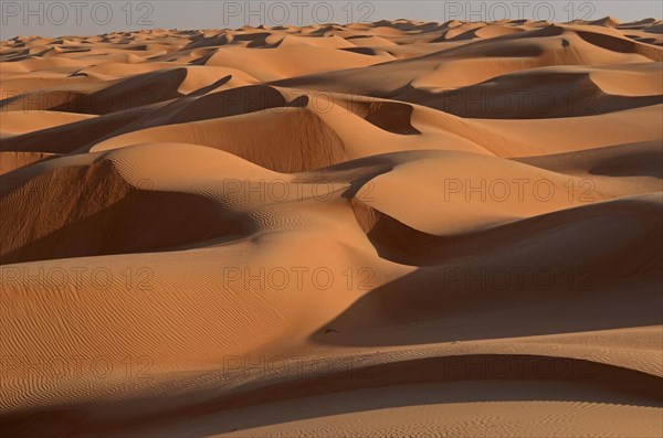 The sand dunes of the Wahiba Sands desert