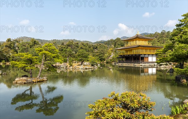 Golden Pavilion Temple