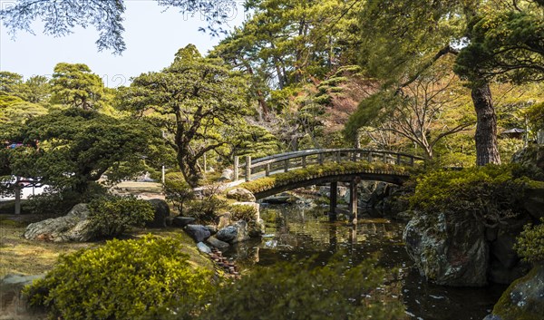 Garden Landscape