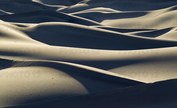 Mesquite Flat Sand Dunes