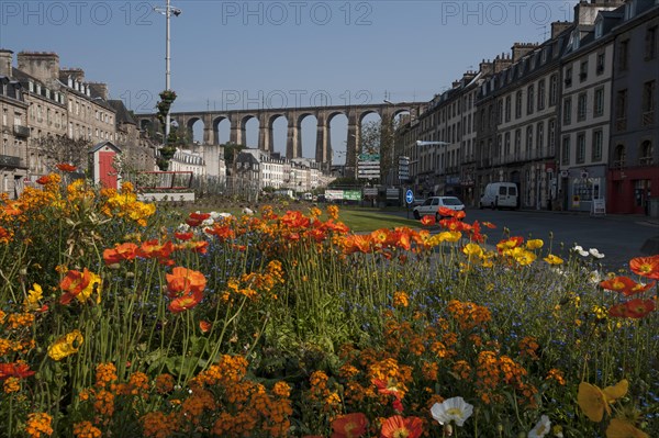 Flowers in front of the Viaduc de Morlaix