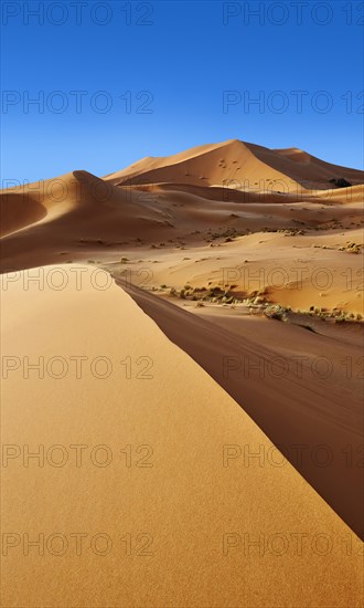 Sand dunes