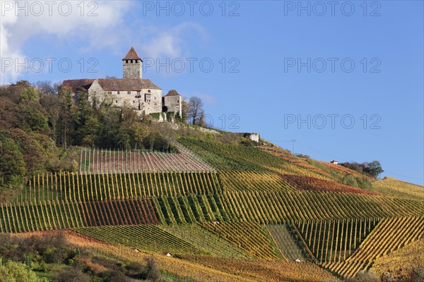 Lichtenberg Castle