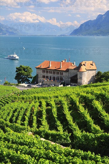 Views over the vineyards with Chateau de Glerolles and Lake Geneva towards the Swiss Rhone Valley