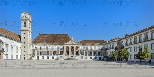 Faculty of Law