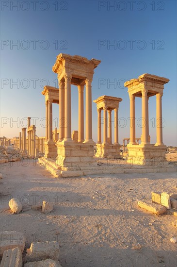 Ruins of the ancient city of Palmyra in the morning light