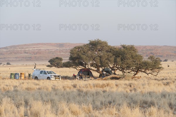 Camper vehicle and tents under trees