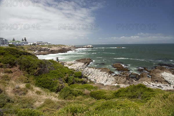 The coast at Hermanus