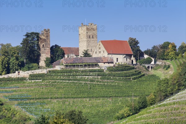 Neipperg Castle