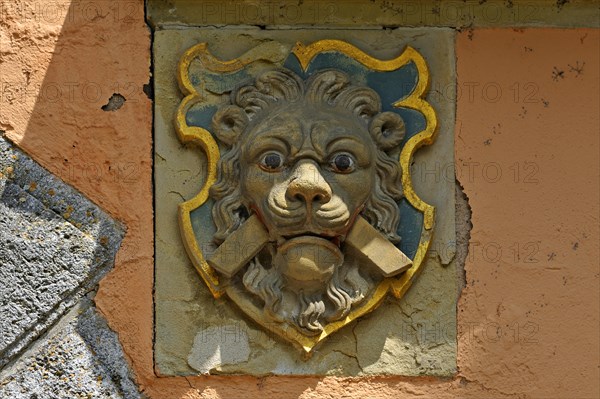 Lion head with chevrons