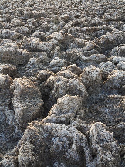 Eroded rock salt pinnacles on the Devil's Golf Course