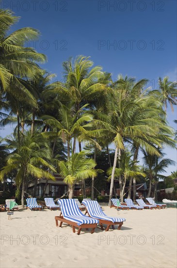 Deckchairs on a beach with palm trees