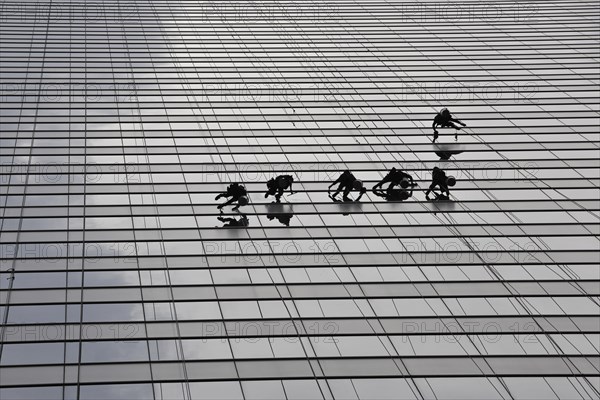 Window cleaners cleaning a glass facade
