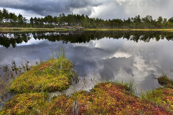 Naveretjarn Lake